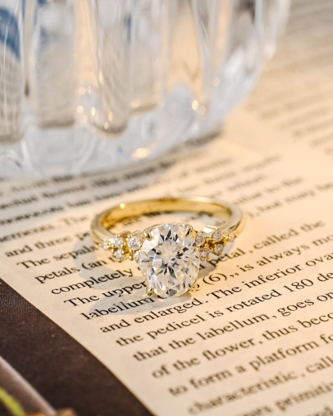 1.0-3.0 CT Oval F/VS1 CVD Diamond Cluster Setting Engagement Ring - Camila Brown