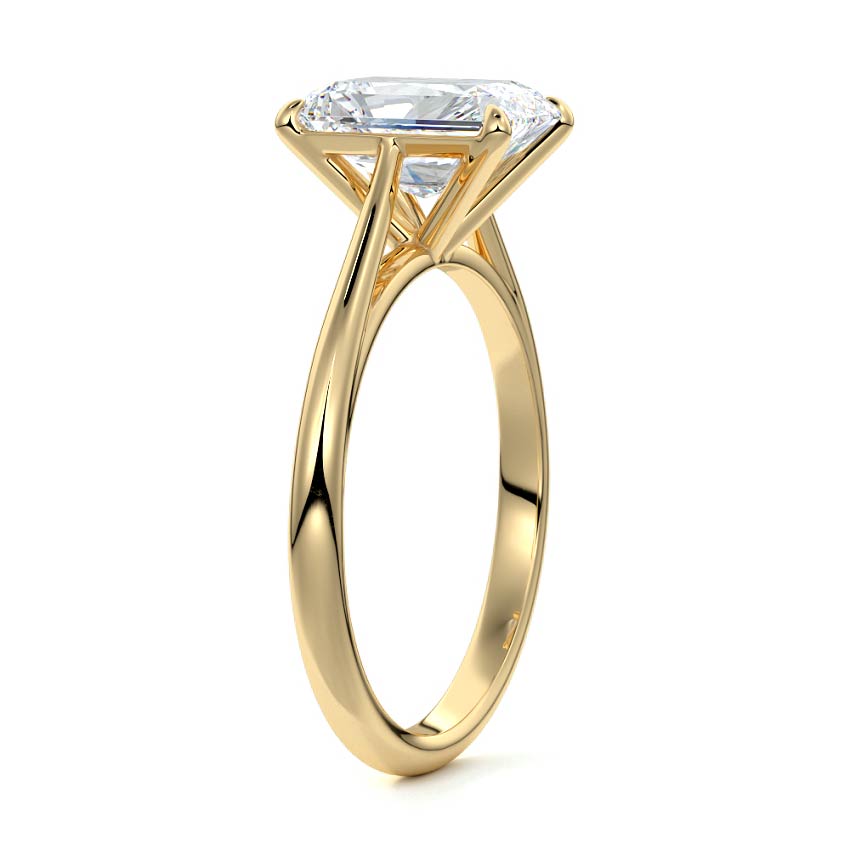 3.0 Carats Lab Grown Diamond Radiant Shape E-VS1 Solitaire Engagement Ring - Camila Brown