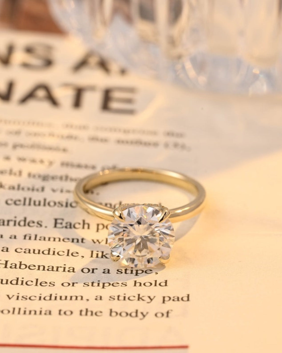 1.0-3.0 CT Round F/VS1 CVD Diamond Solitaire Engagement Ring - Camila Brown