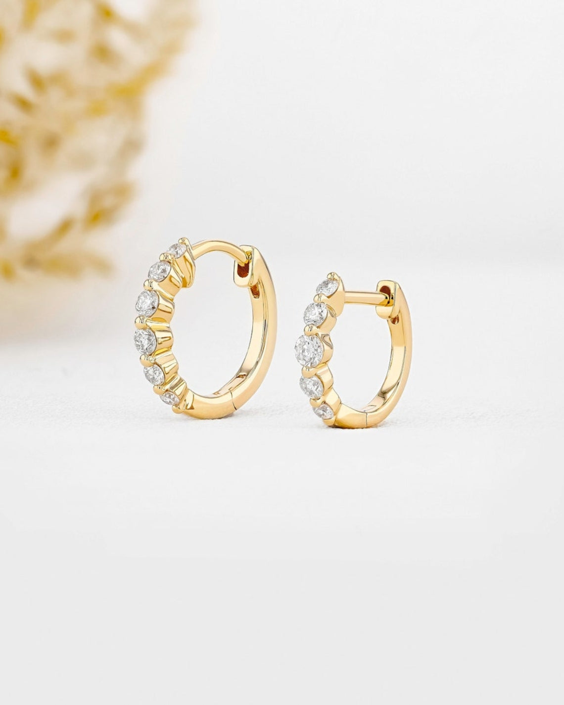 0.25 TCW-0.34 TCW Round Moissanite Diamond Hoop Earrings - Camila Brown