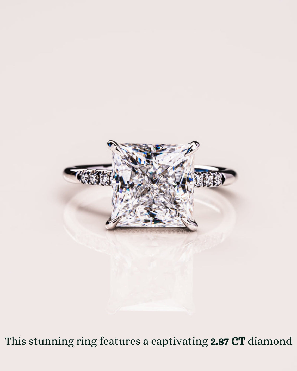1.87 - 3.87 CT Princess E/VS1 CVD Diamond Hidden Halo Engagement Ring - Camila Brown