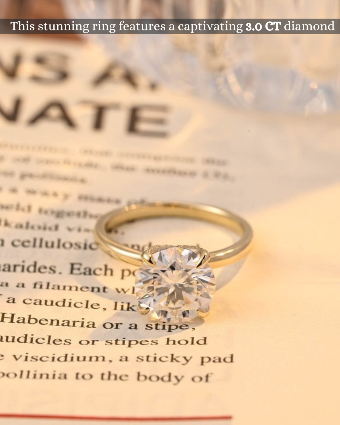 1.0-3.0 CT Round F/VS1 CVD Diamond Solitaire Engagement Ring - Camila Brown