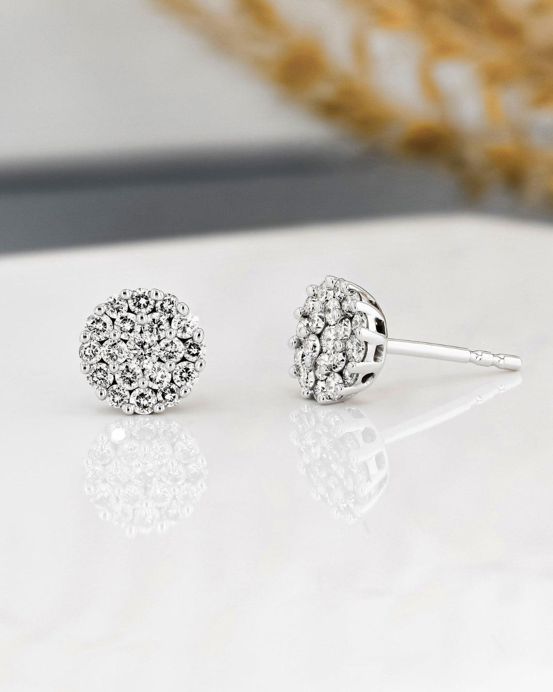 0.50 TCW Round Moissanite Diamond Stud Earrings - Camila Brown