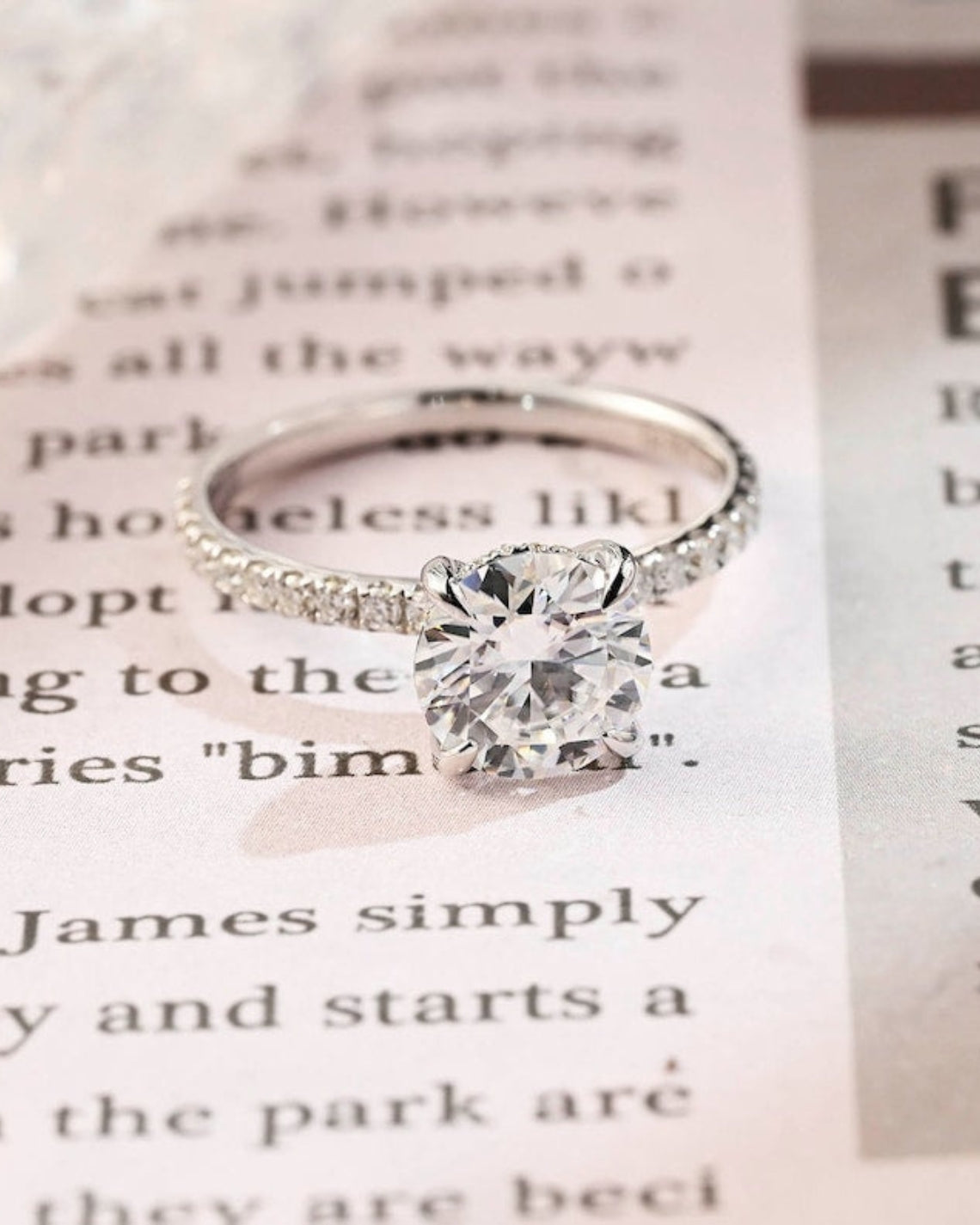 1.0 CT Round F/VS1 CVD Diamond Hidden Halo Pave Setting Engagement Ring - Camila Brown