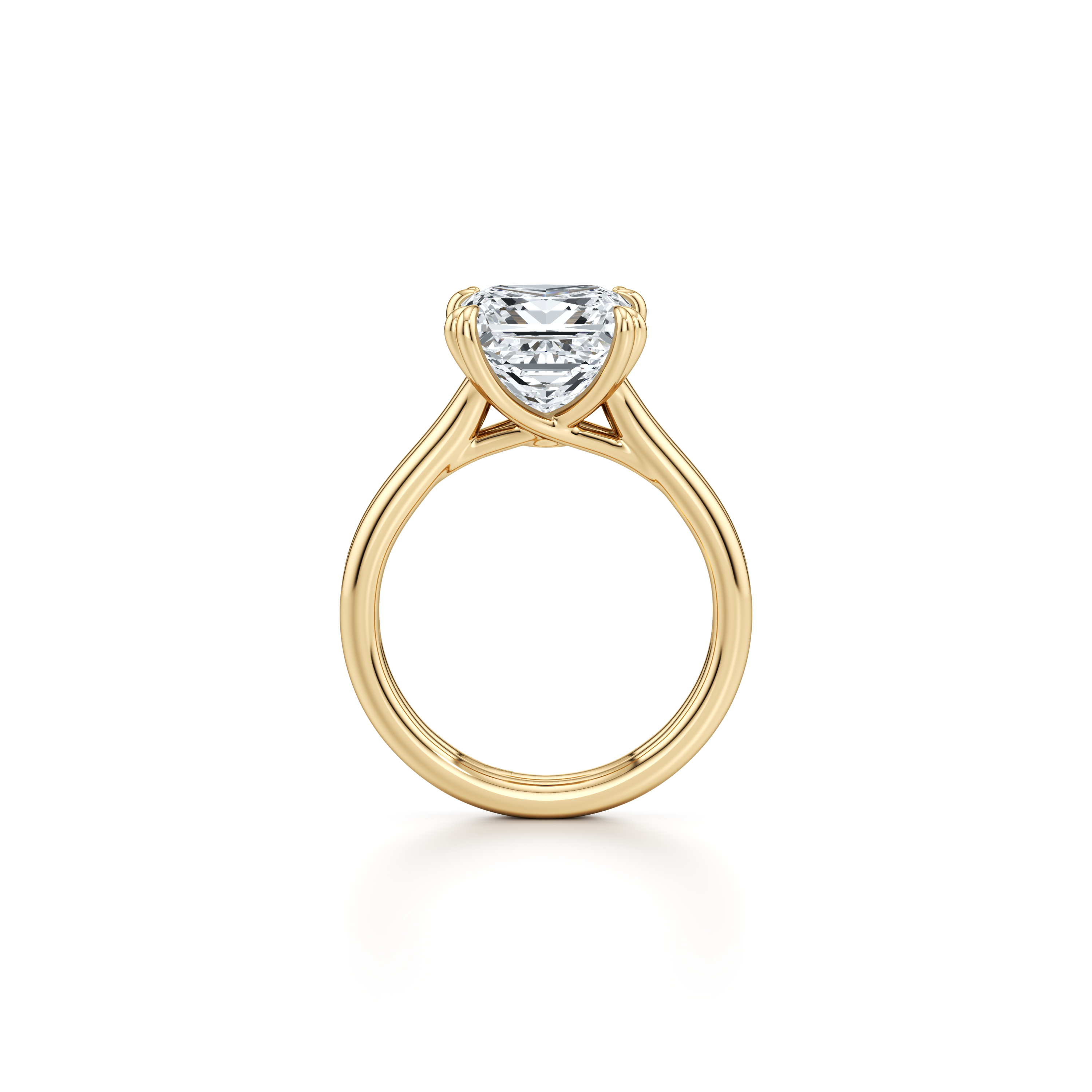 2.0 Carats Lab Grown Diamond Princess Shape F-VS1 Double Band Style Engagement Ring - Camila Brown