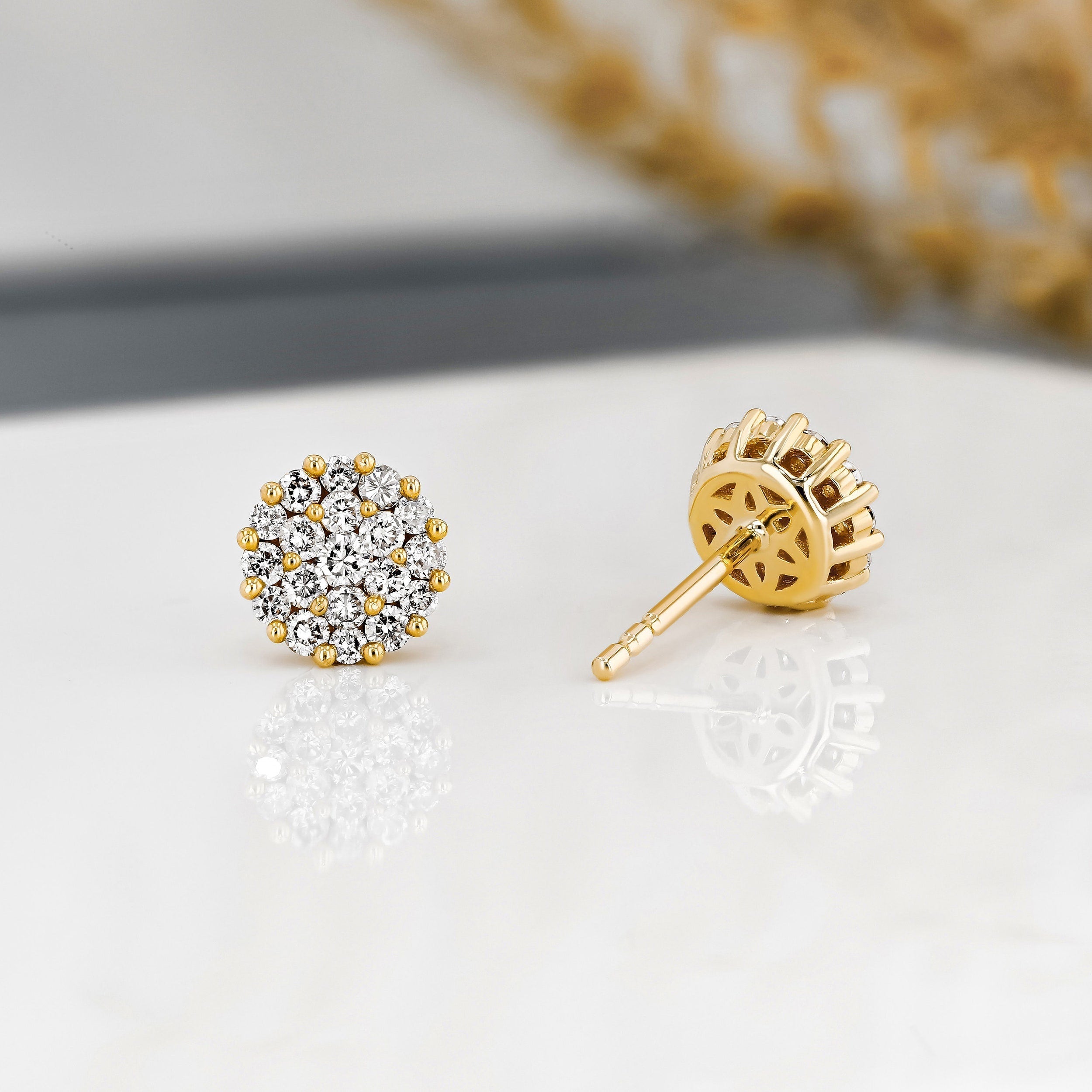 0.50 TCW Round Moissanite Diamond Stud Earrings - Camila Brown