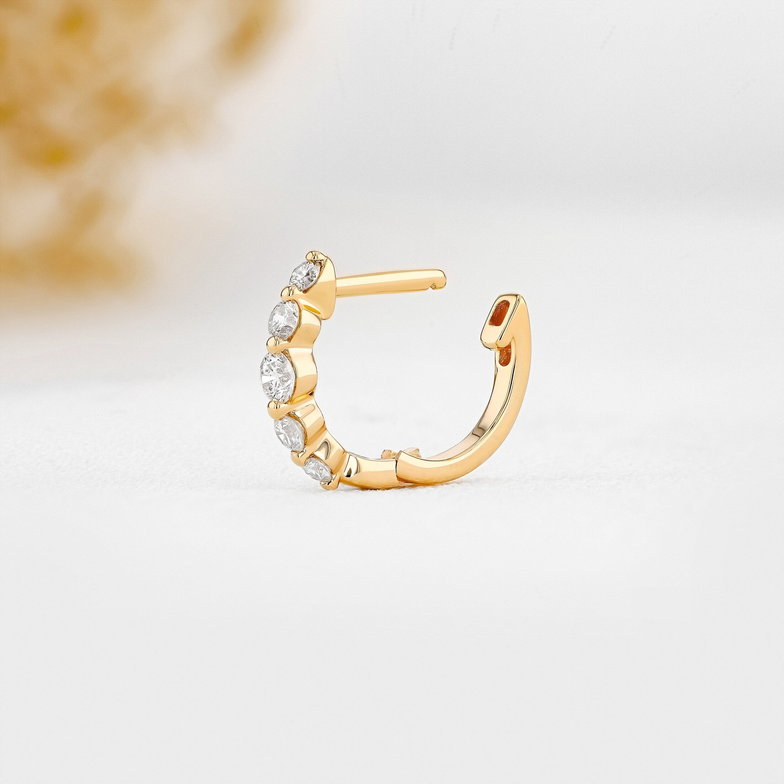 0.25 TCW-0.34 TCW Round Moissanite Diamond Hoop Earrings - Camila Brown