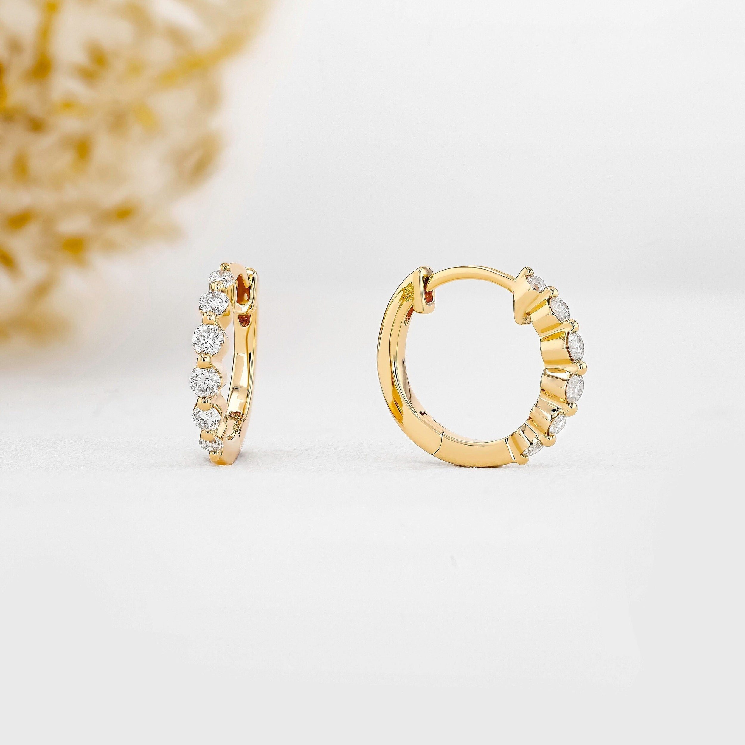 0.25 TCW-0.34 TCW Round Moissanite Diamond Hoop Earrings - Camila Brown