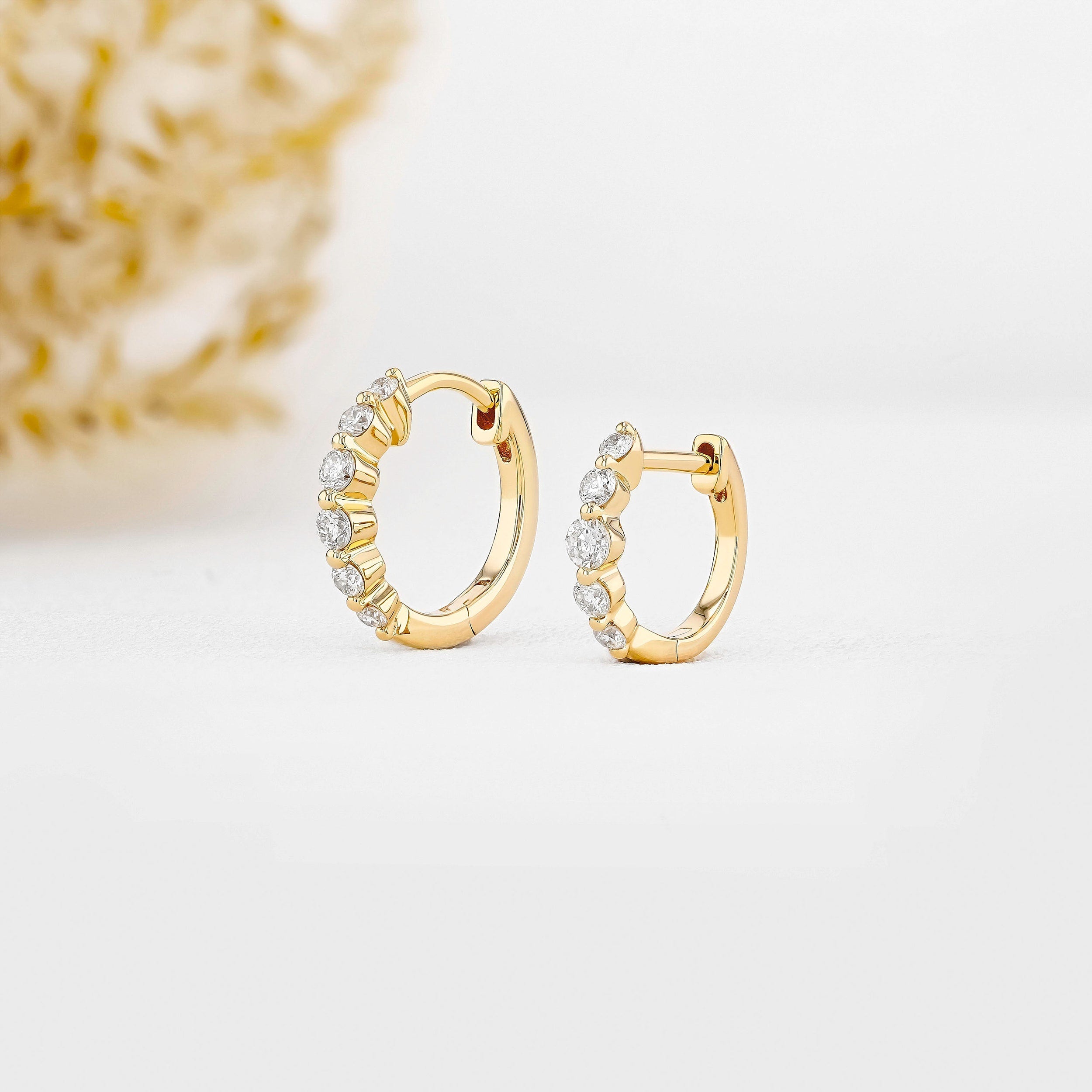 0.25 TCW-0.34 TCW Round Moissanite Diamond Hoop Earrings - Camila Brown