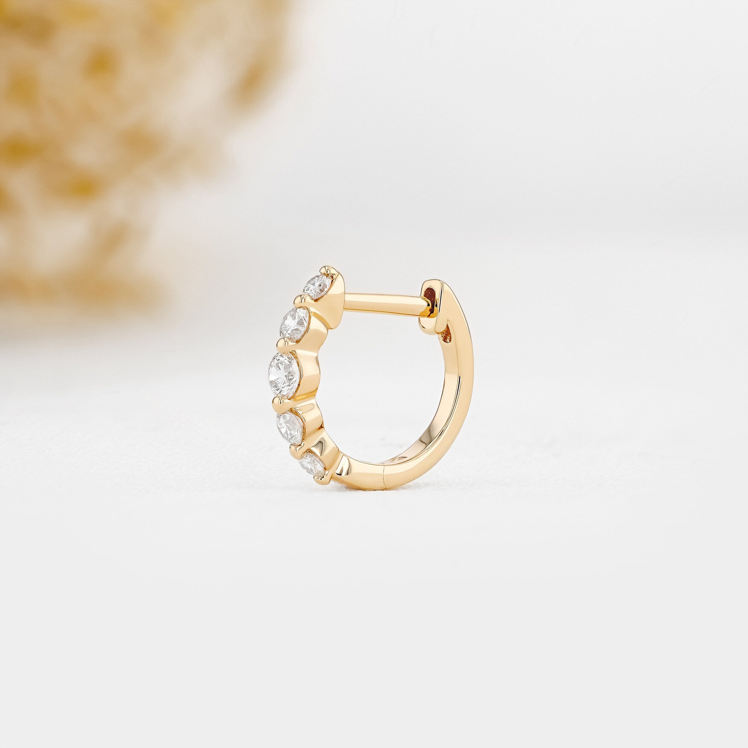 0.25 TCW-0.34 TCW Round Moissanite Diamond Hoop Earrings - Camila Brown