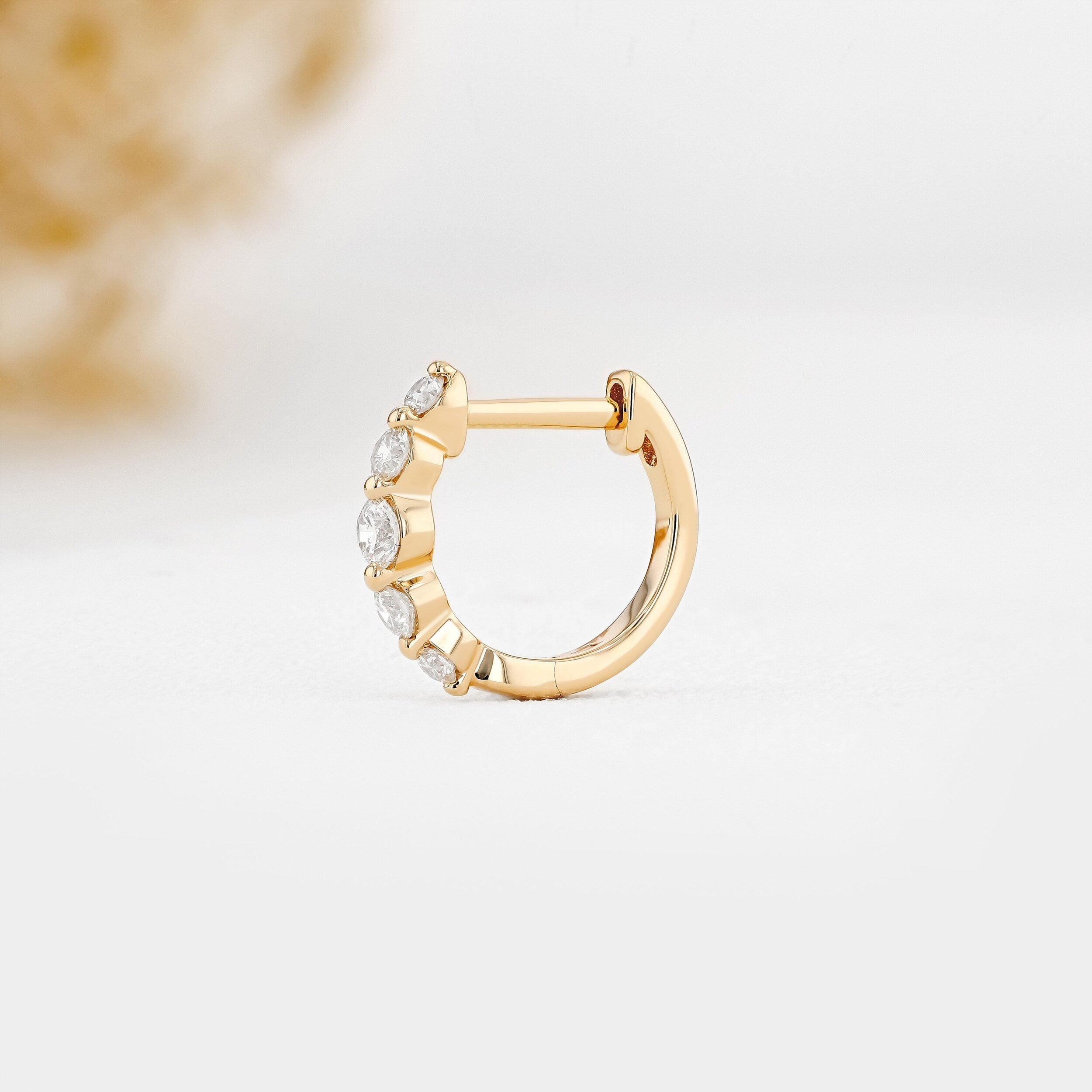 0.25 TCW-0.34 TCW Round Moissanite Diamond Hoop Earrings - Camila Brown