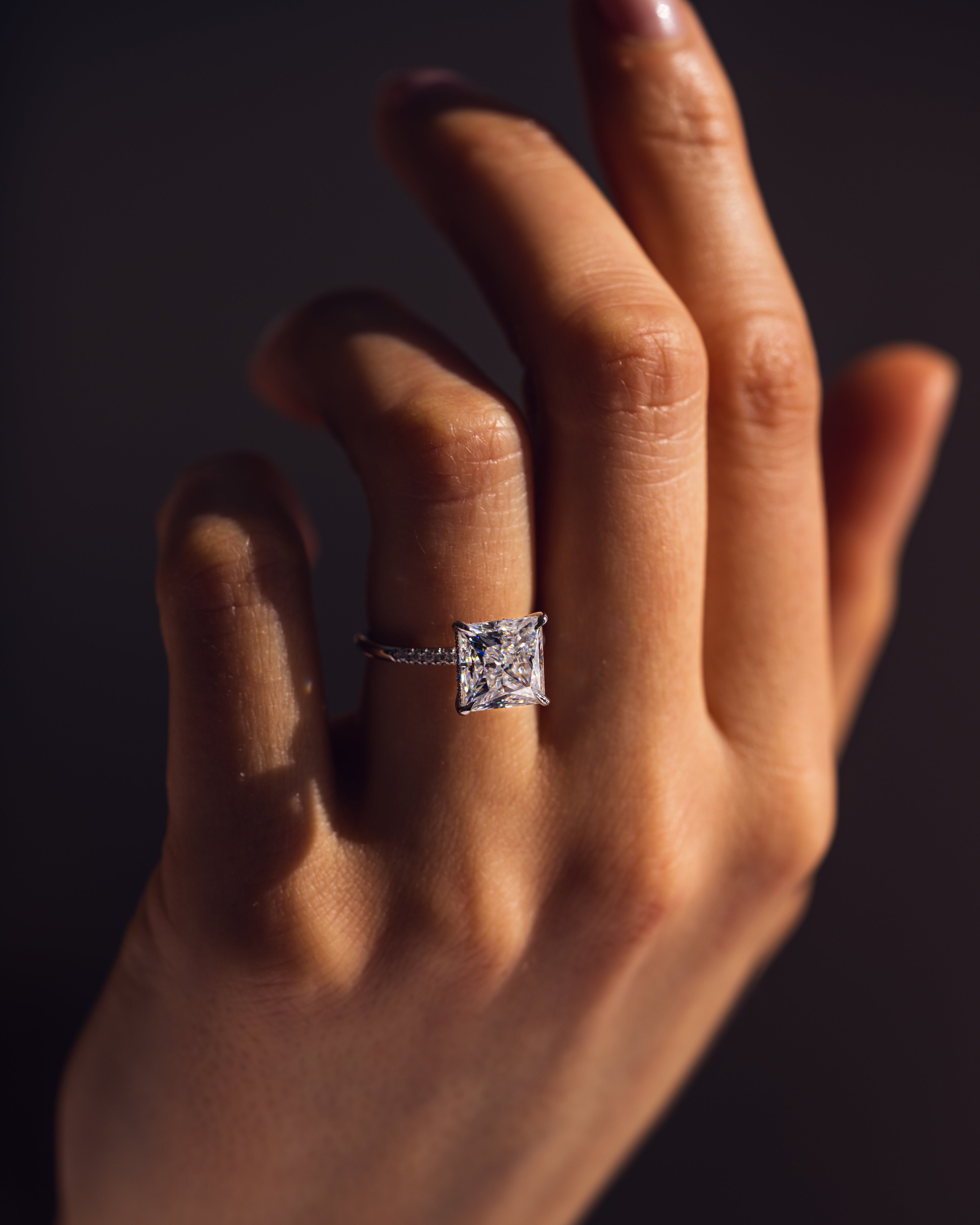 1.87 - 3.87 CT Princess E/VS1 CVD Diamond Hidden Halo Engagement Ring - Camila Brown