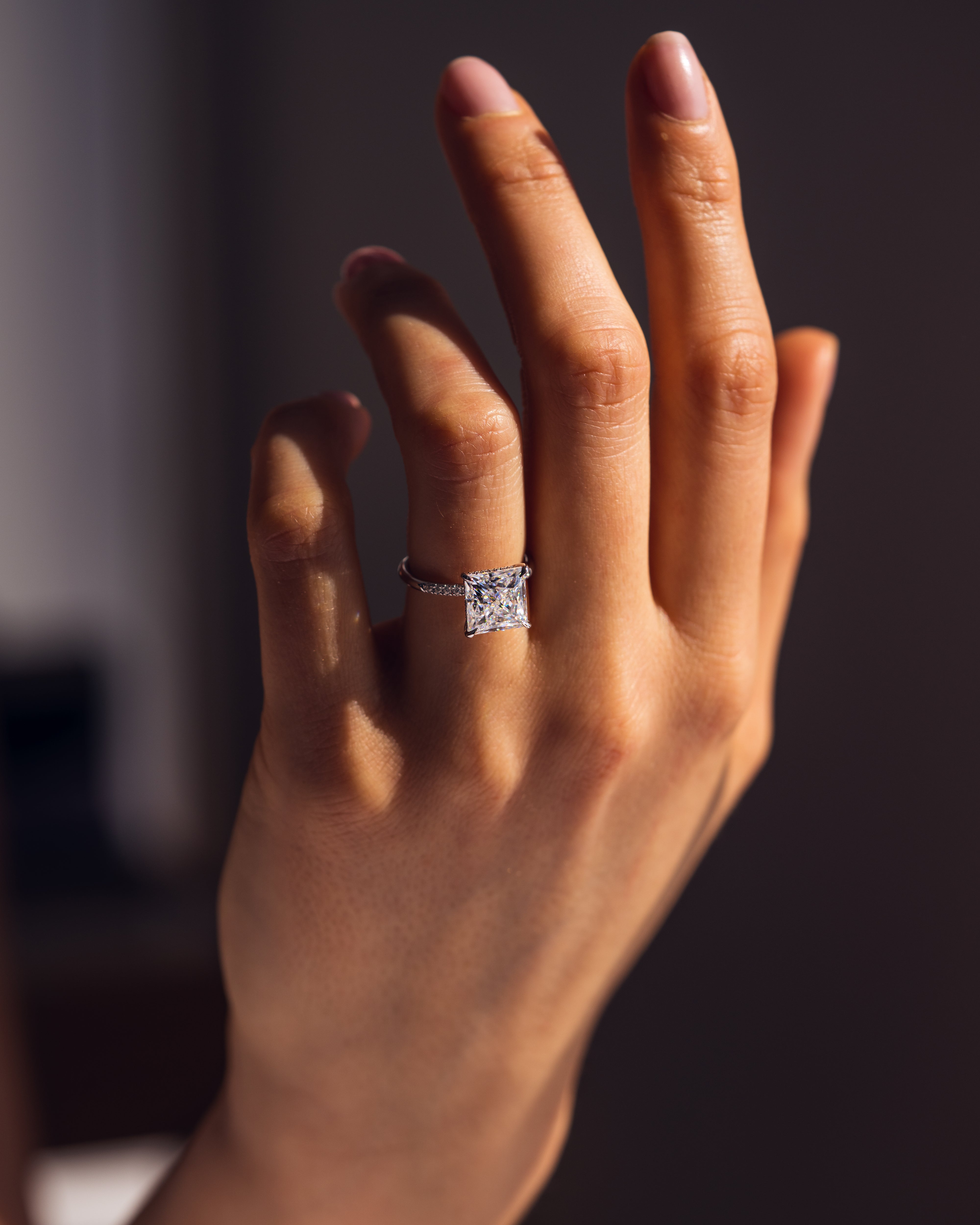 1.87 - 3.87 CT Princess E/VS1 CVD Diamond Hidden Halo Engagement Ring - Camila Brown