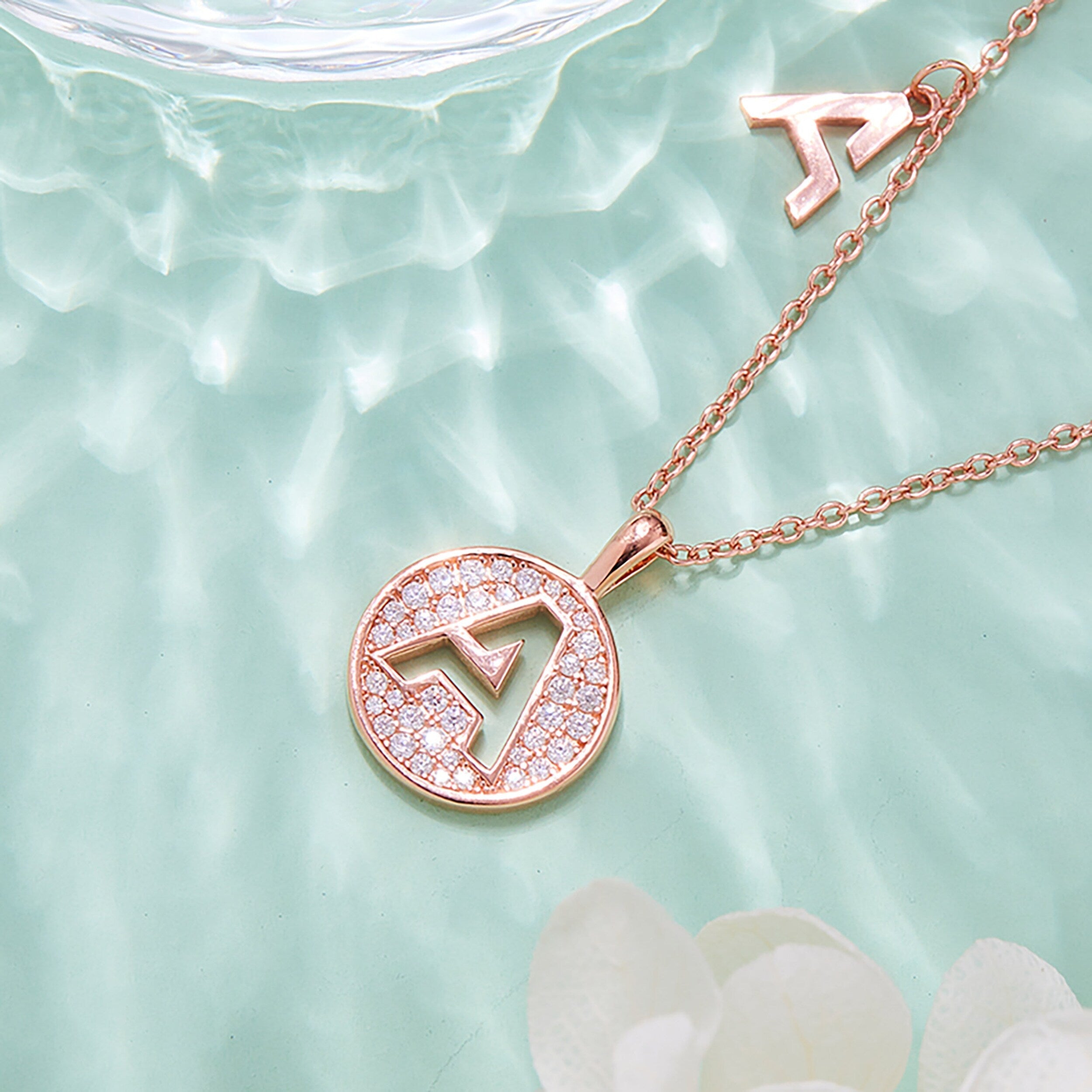 Customized "A" Letter Moissanite Diamond Necklace - Camila Brown