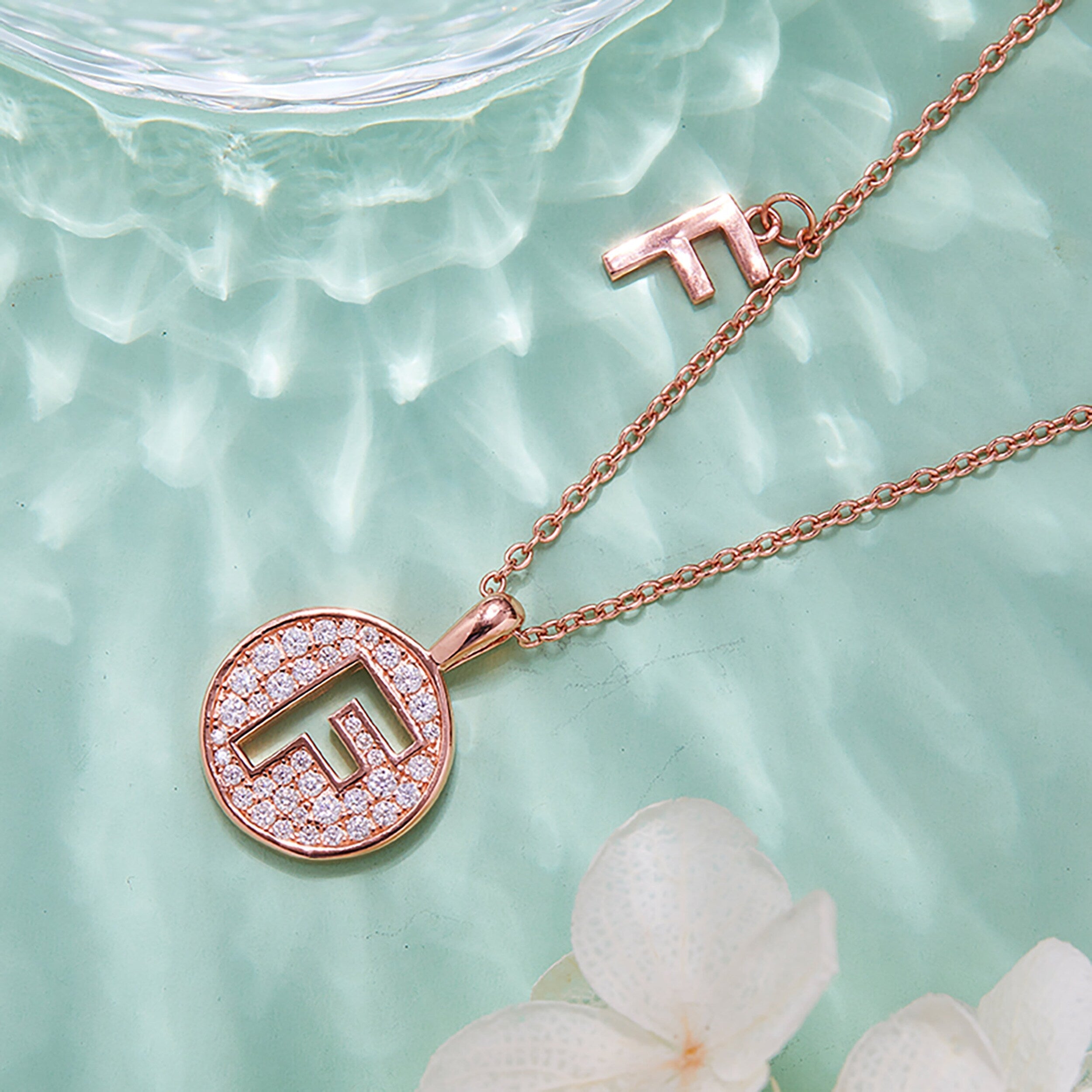Customized "F" Letter Moissanite Diamond Necklace - Camila Brown