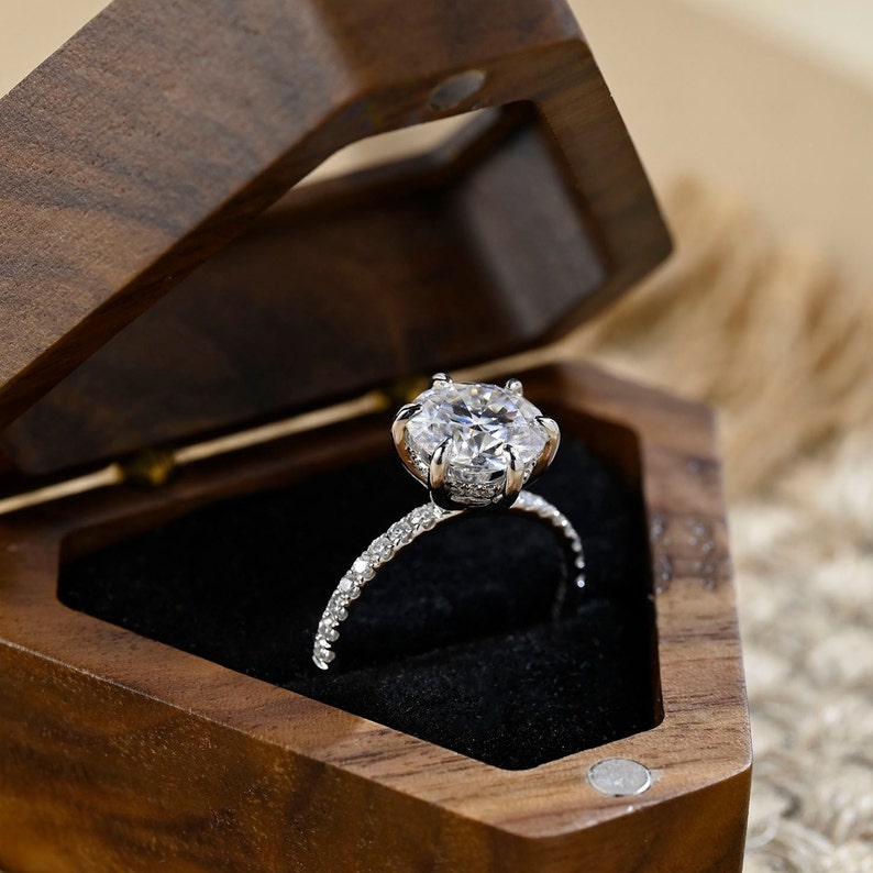 1.0-3.0 CT Round F/VS1 CVD Diamond Hidden Halo Pave Setting Engagement Ring - Camila Brown
