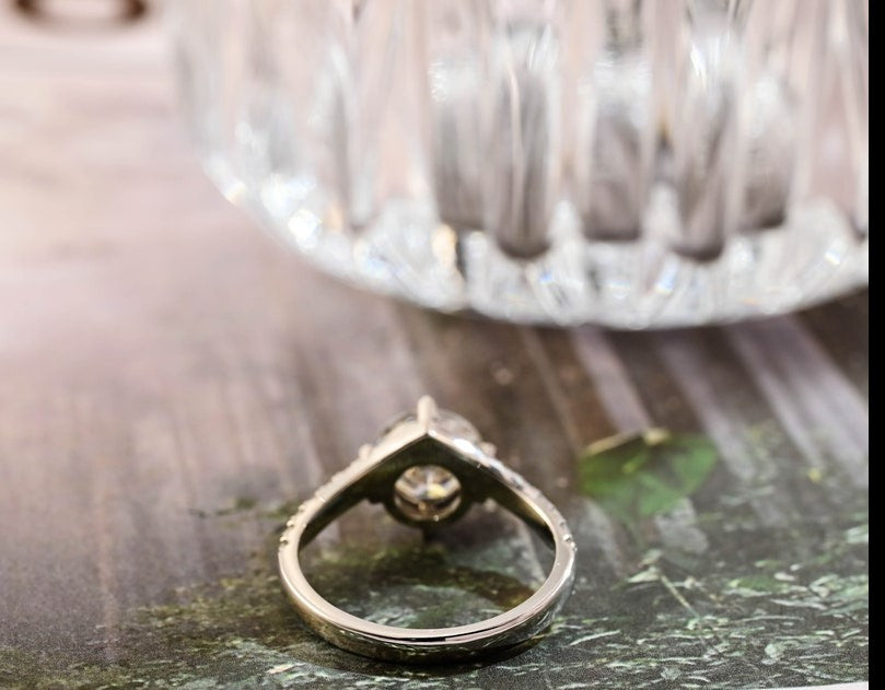 1.0-3.0 CT Round F/VS1 CVD Diamond Pave Setting Engagement Ring - Camila Brown