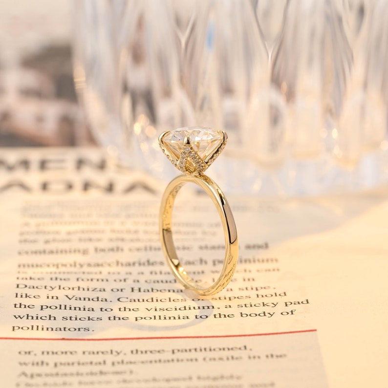 1.0-3.0 CT Round F/VS1 CVD Diamond Solitaire Engagement Ring - Camila Brown