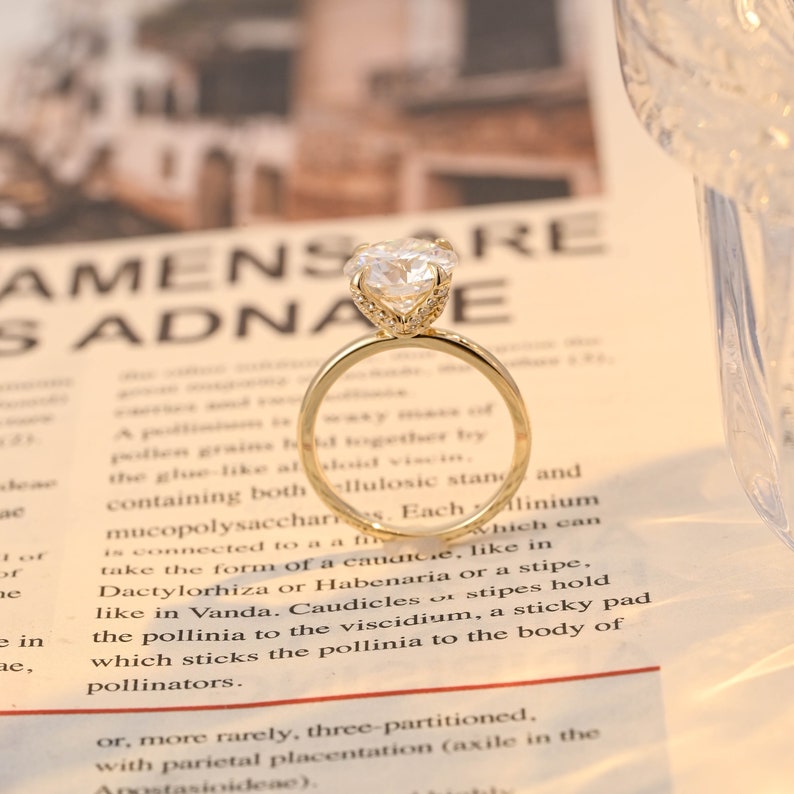 1.0-3.0 CT Round F/VS1 CVD Diamond Solitaire Engagement Ring - Camila Brown