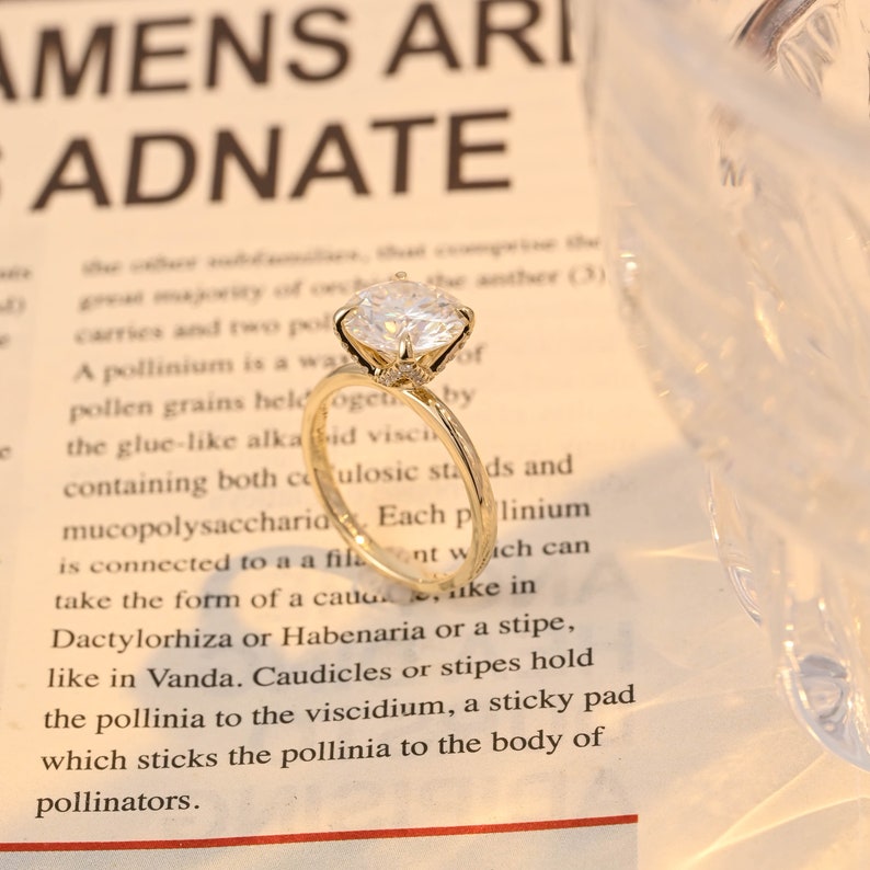 1.0-3.0 CT Round F/VS1 CVD Diamond Solitaire Engagement Ring - Camila Brown