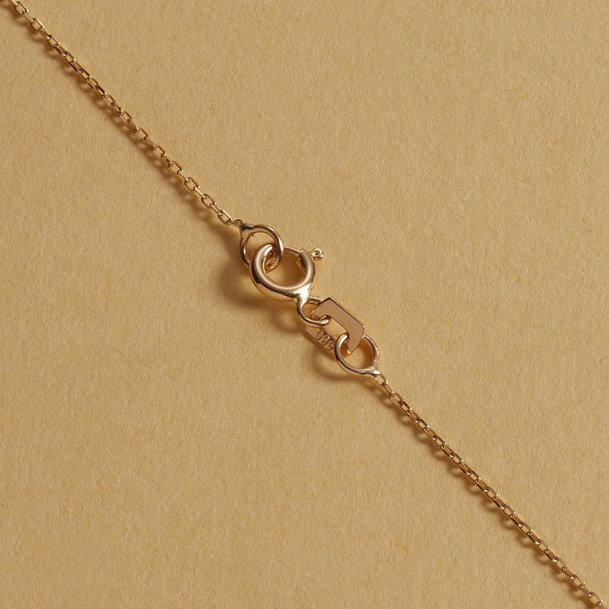 Customized Nameplate Moissanite Diamond Necklace for Women - Camila Brown