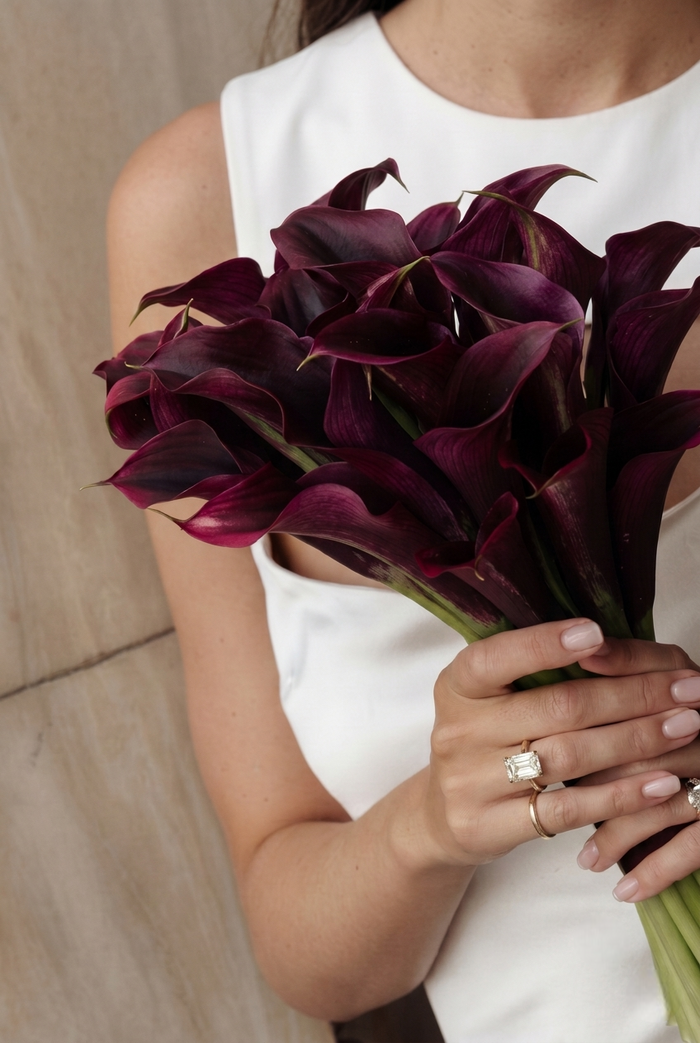 ENGAGEMENT COLLECTION